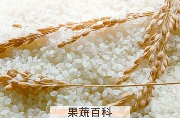 有机大米的功效与作用 有机大米的营养价值