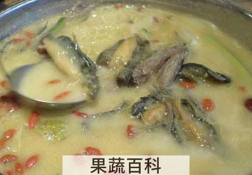 泥鳅汤的功效与作用