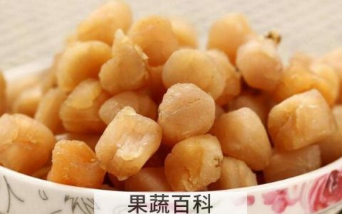 儿童为什么不能吃干贝