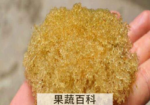 什么是竹燕窝 竹燕窝的功效与作用