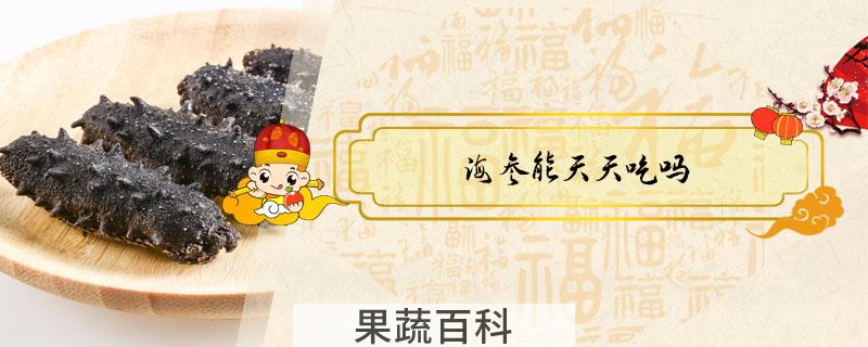 海参能天天吃吗