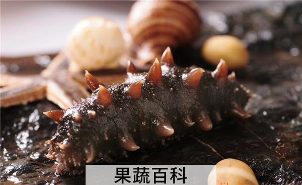 海参能天天吃吗