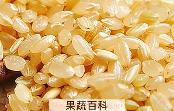 糙米的营养价值 糙米的功效与作用