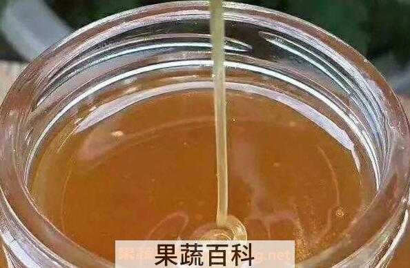 野坝子蜜的作用与功效及食用方法