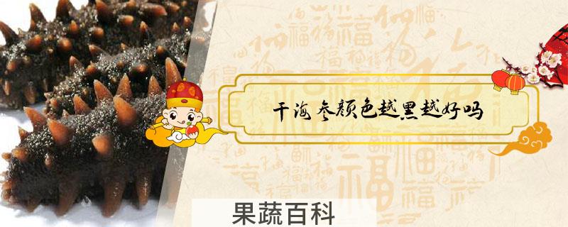 干海参颜色越黑越好吗
