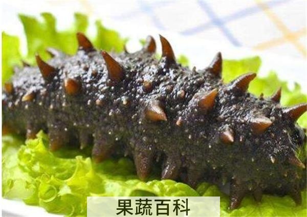 干海参颜色越黑越好吗