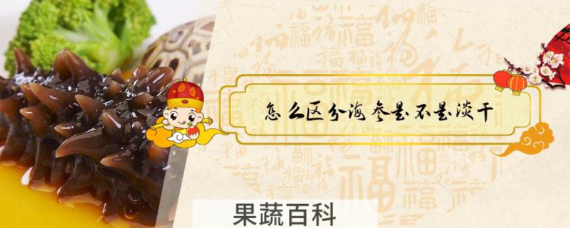 怎么区分海参是不是淡干