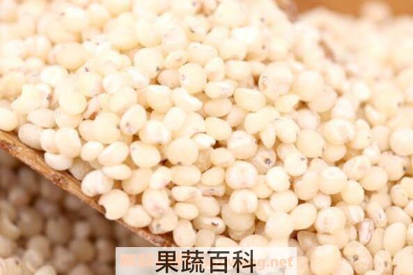 高粱米怎么吃 高粱米的正确吃法