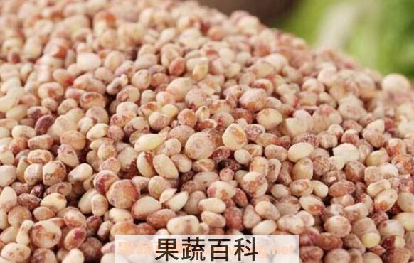 高粱米的营养价值 吃高粱米的好处