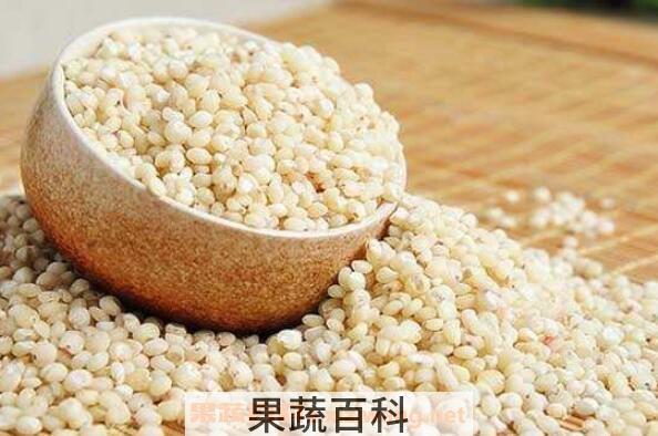 高粱米的营养价值 吃高粱米的好处
