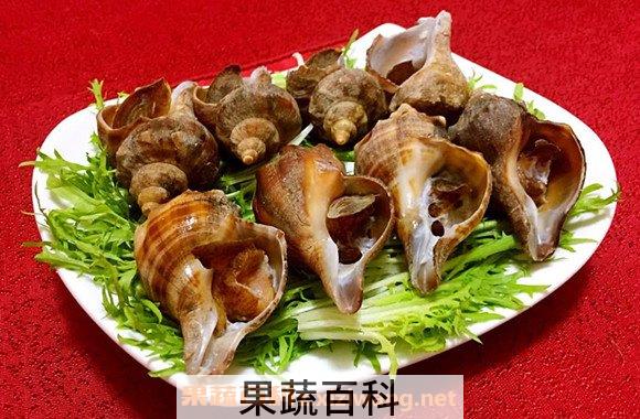 海螺