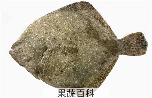 吃多宝鱼的禁忌