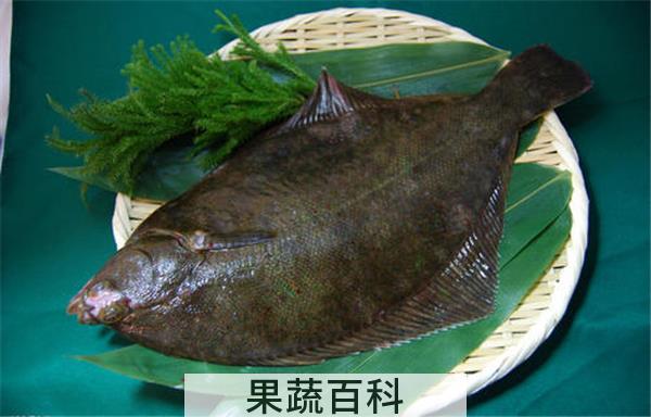 吃多宝鱼的禁忌