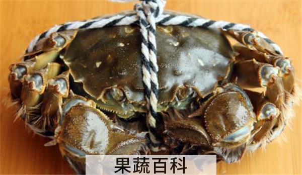 大闸蟹怎么保存才不死