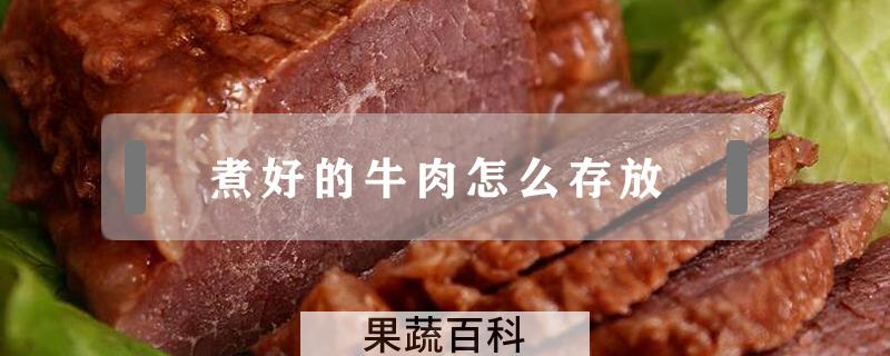 煮好的牛肉怎么存放
