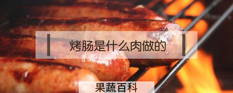 烤肠是什么肉做的