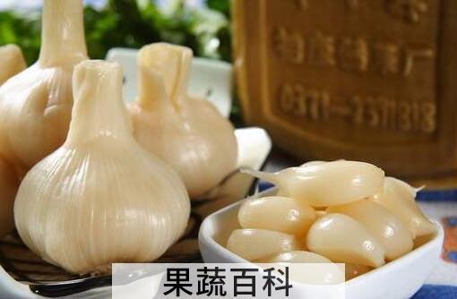 醋泡大蒜的功效和禁忌 醋泡大蒜的注意事项