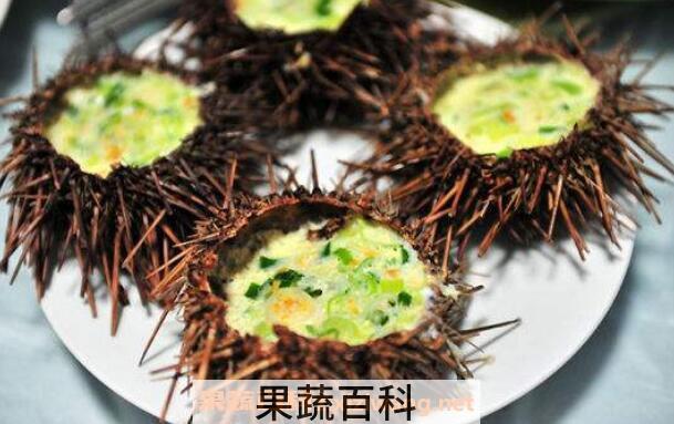 海胆的营养价值 吃海胆的好处与功效