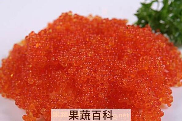 飞鱼籽是什么鱼的籽 飞鱼籽的营养价值