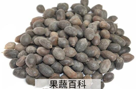 石莲肉和莲子的区别 石莲肉的功效