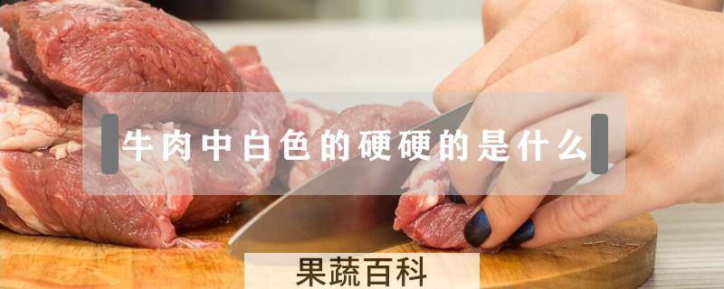 牛肉中白色的硬硬的是什么