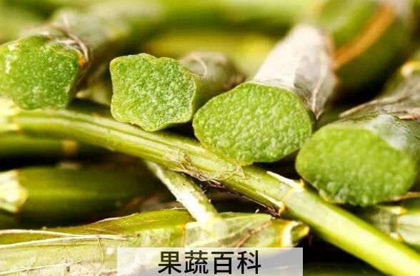 石斛对男人的功效与好处