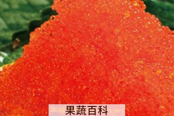 飞鱼籽可以生吃吗 飞鱼籽怎么吃