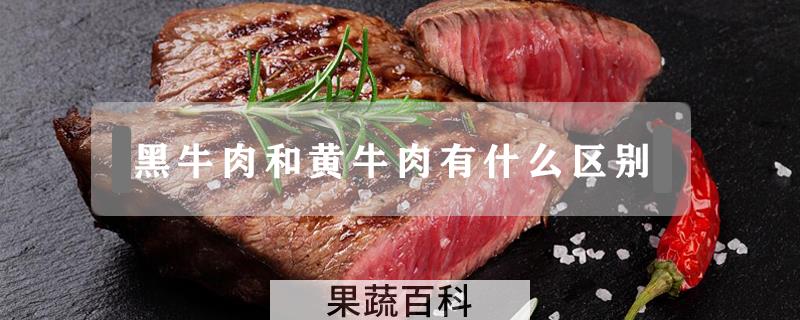 黑牛肉和黄牛肉有什么区别