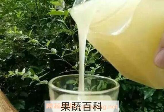 野桂花蜜的功效与作用 野桂花蜜的食用方法