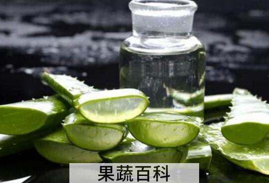 新鲜芦荟怎么做成汁 芦荟汁的制作方法