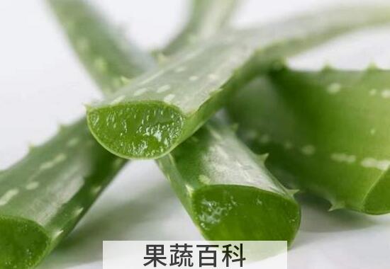 新鲜芦荟怎么做成汁 芦荟汁的制作方法