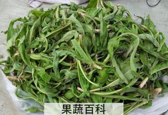 苦叶菜怎ô炒好吃 苦叶菜的正确吃法