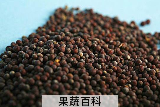 黑芥末籽的功效与作用