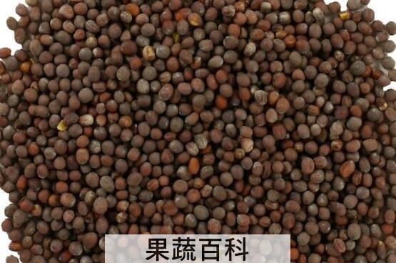黑芥末籽的功效与作用