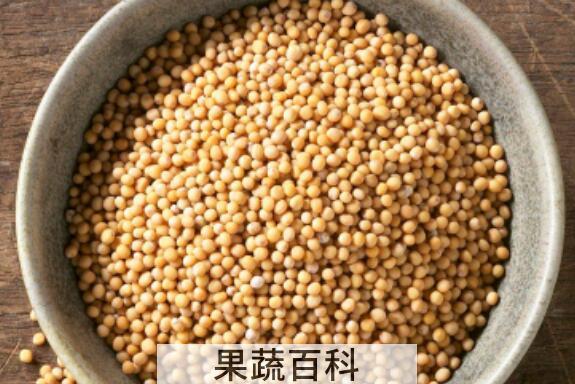 芥末籽和芥末的区别 怎么用芥菜籽自制芥末