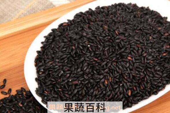 黑米的功效与作用 黑米的吃法