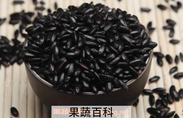 黑米的功效与作用 黑米的吃法