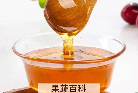 枣花蜜的功效与作用 枣花蜜怎么吃好