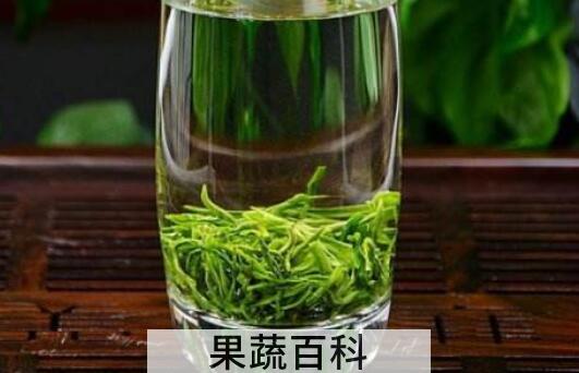 信阳毛尖的冲泡方法步骤