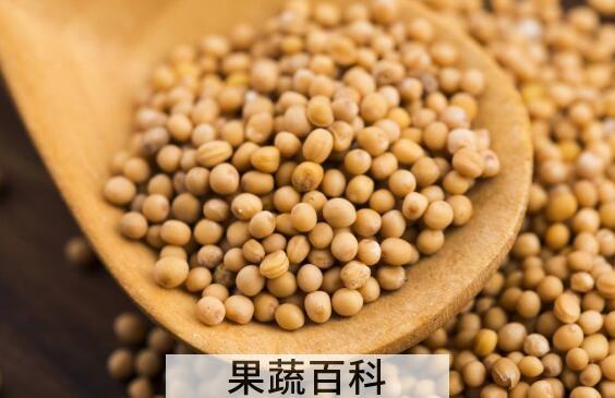 芥末籽怎么吃 芥菜籽的食用方法