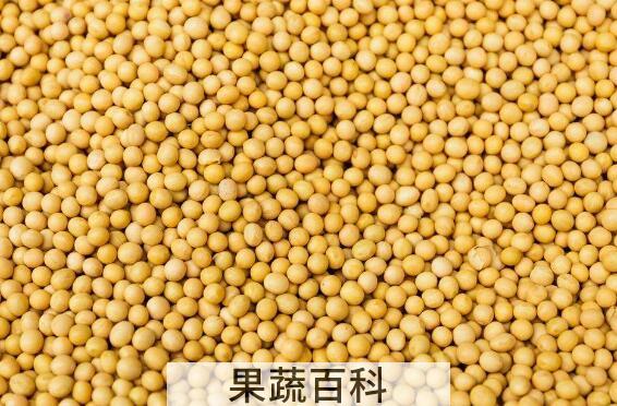 芥末籽怎么吃 芥菜籽的食用方法
