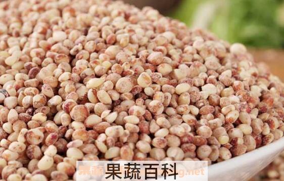高粱米怎么吃 高粱米的食用方法