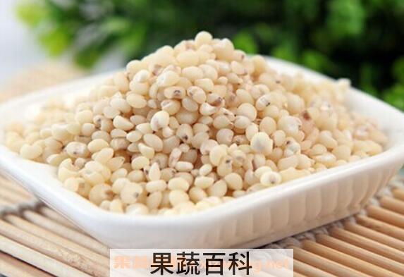 高粱米怎么吃 高粱米的食用方法
