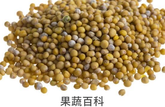 芥末籽怎么使用 芥末籽使用方法技巧教程