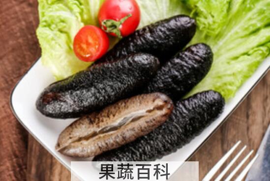 无刺海参的营养价值 无刺海参的功效与作用