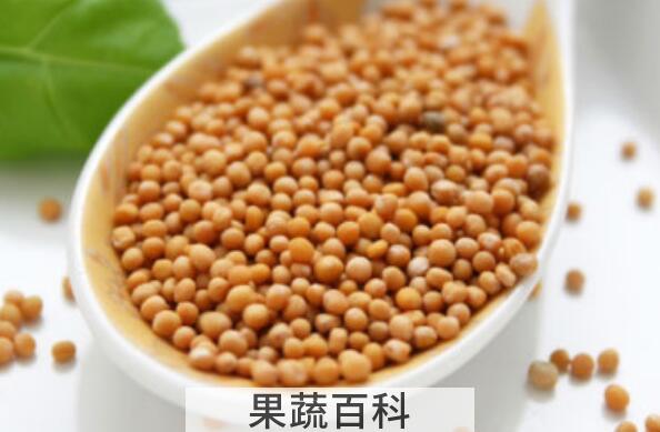 芥末籽怎么加工才能吃 芥末籽的功效