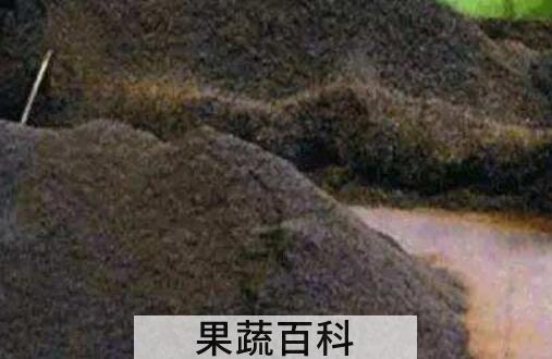 什么是渥堆 渥堆的正确方法