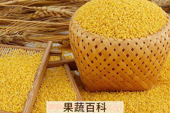 小黄米的功效与作用