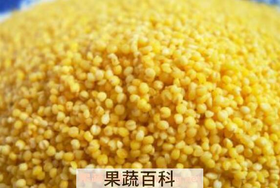 小黄米的功效与作用