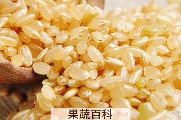 糙米的功效与作用及营养价值